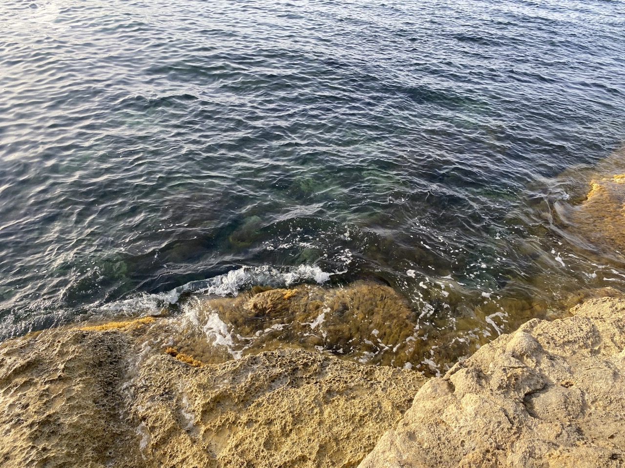 Mediterranean Seashore